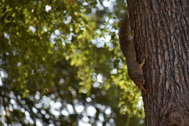 在关键机会 在关键机会