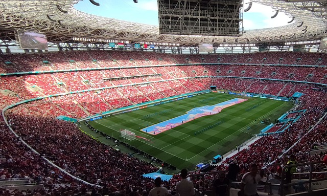 和替补球员 和替补球员