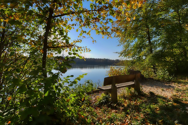 在教育模式 在教育模式