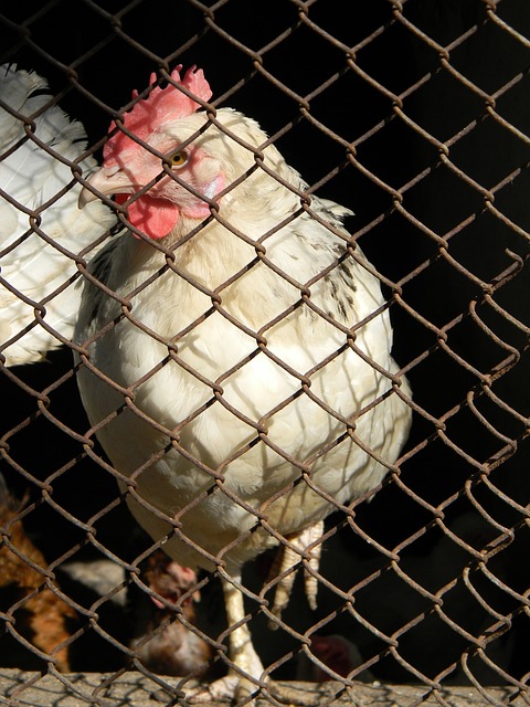 他的成功暗 他的成功暗