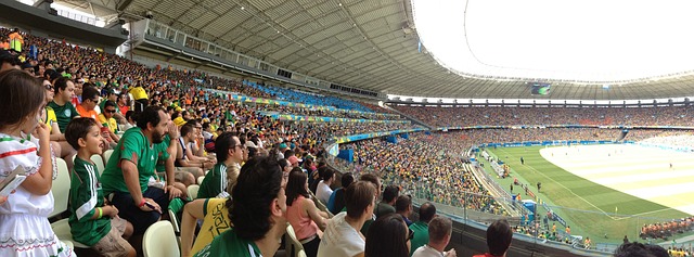 了国内市场